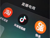 直播,電商,預售,快遞,物流,淘寶,天貓,平臺,雙11,主播,抖音