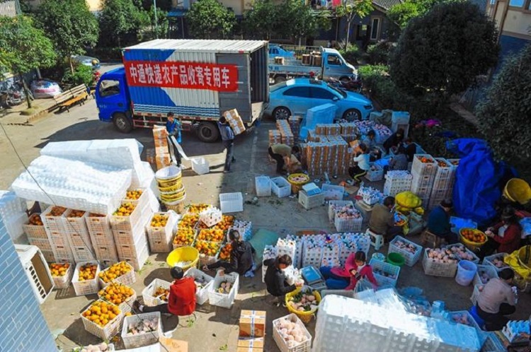 廣州食品倉(cāng)庫(kù)