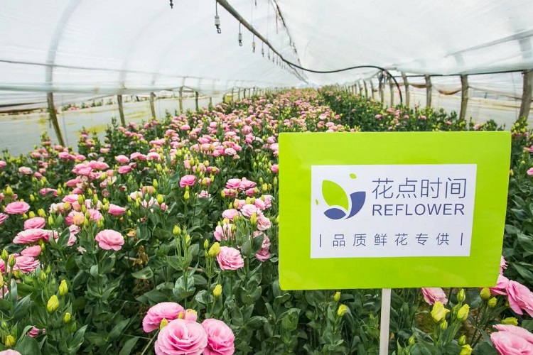 鮮花電商