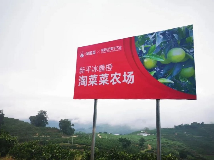 淘菜菜農場