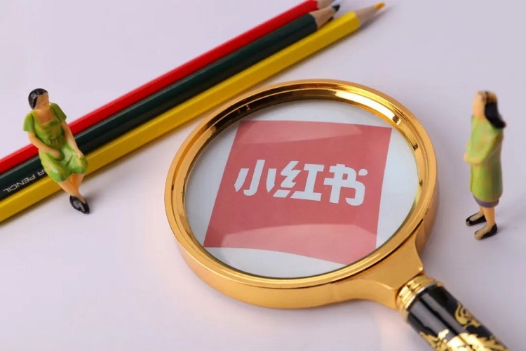 世界杯用戶男女比例